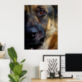 Oog van de Prints van Shepherd Fine Art (Thuiskantoor)