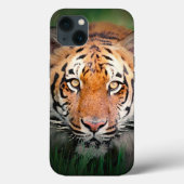 Oog van de tijger Case-Mate iPhone case (Achterkant)