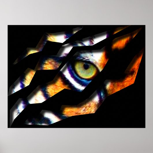Oog van de tijgerscheur door poster (Voorkant)