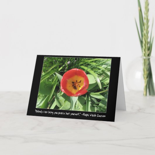 Oog van de Tulp Kaart (Voorkant)