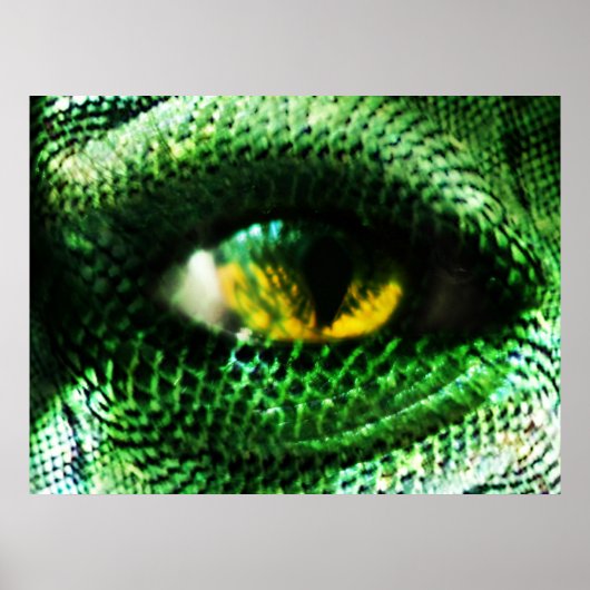 Oog van een ...? poster (Voorkant)