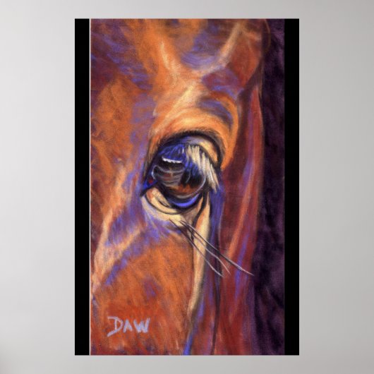 Oog van een Thoroughbred Poster (Voorkant)