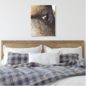 Oog van Grote Deen Canvas Afdruk (Insitu (Slaapkamer))