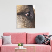 Oog van Grote Deen Canvas Afdruk (Insitu (Woonkamer))