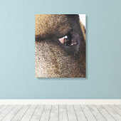 Oog van Grote Deen Canvas Afdruk (Insitu (Houten vloer))