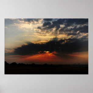 Oog van paardenbont Zonnestijf Poster
