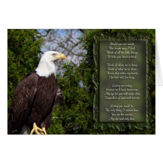 Oog voor jou (Voorkant Horizontaal)