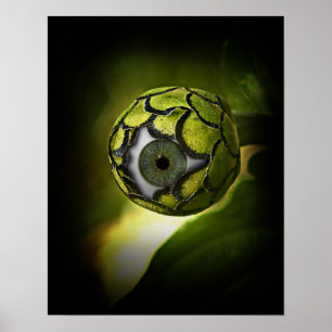 Oog zal je in de tuin zien, vanavond! poster