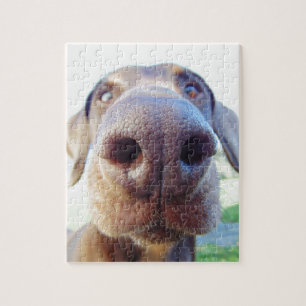 Oogaandoeningen Legpuzzel