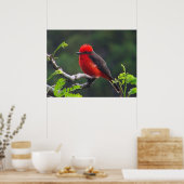 Oogaandoeningen Poster (Keuken)