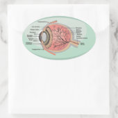 Oogdiagram voor de nationale oogmaand ovale sticker (Tas)