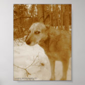 Oogdruk op het aambeeld poster (Voorkant)