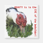 Oogfoto van de dichte Duck Magneet (Voorkant)