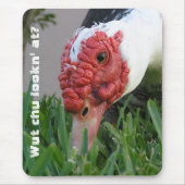 Oogfoto van de dichte Duck Muismat (Voorkant)