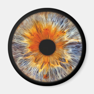 Ooghepische irismagneet magneet