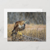 oogje briefkaart (Voorkant / Achterkant)