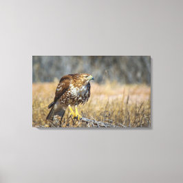 oogje canvas afdruk