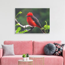 Oogje naar oogverrekte canvas afdrukken