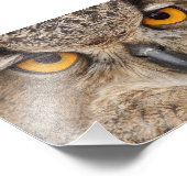 Oogogen Foto Afdruk (Hoek)