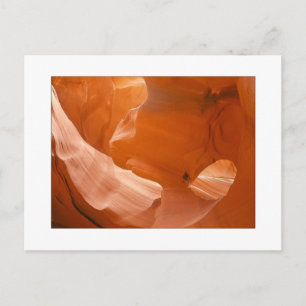 "Oogoog van de adelaar" Briefkaart