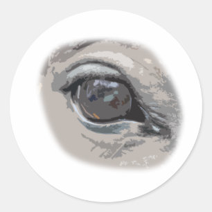 Oogoog van gewone grijze paarden ronde sticker