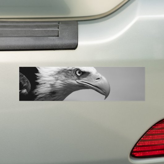Oogoog van zwarte en witte arend bumpersticker (Op auto)