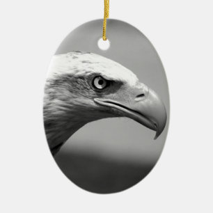 Oogoog van zwarte en witte arend keramisch ornament