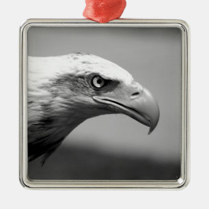 Oogoog van zwarte en witte arend metalen ornament