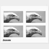 Oogoog van zwarte en witte arend rechthoekige sticker (Vel)