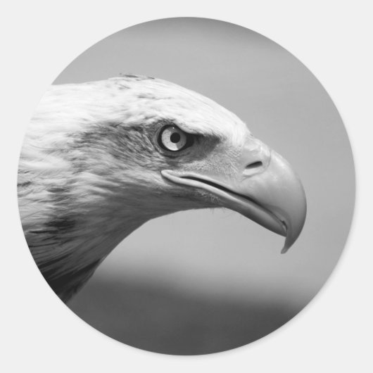 Oogoog van zwarte en witte arend ronde sticker (Voorkant)