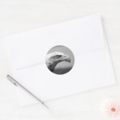 Oogoog van zwarte en witte arend ronde sticker (Envelop)