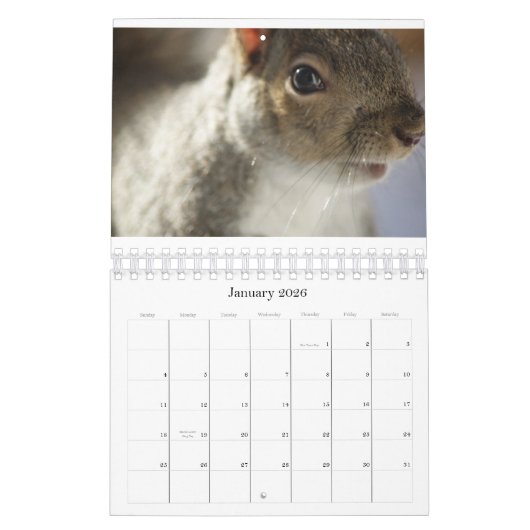 Oogspionagefotokalender Kalender (Jan 2026)