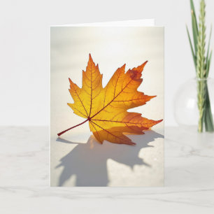 Oogst Esdoornblad Kaart
