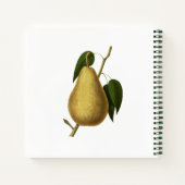 Oogst Fruit Vegetarisch Recept Organisator Notitieboek (Achterkant)