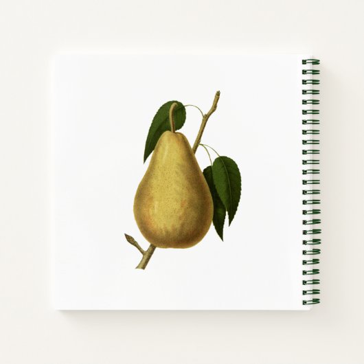 Oogst Fruit Vegetarisch Recept Organisator Notitieboek (Achterkant)