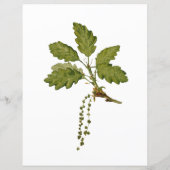 Oogst Fruits op papier (Achterkant)