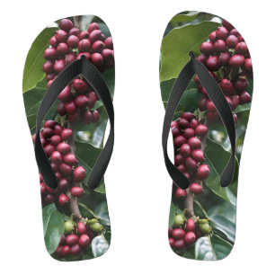 **"Oogst in bloei: koffiebonen aan de boom"** Teenslippers