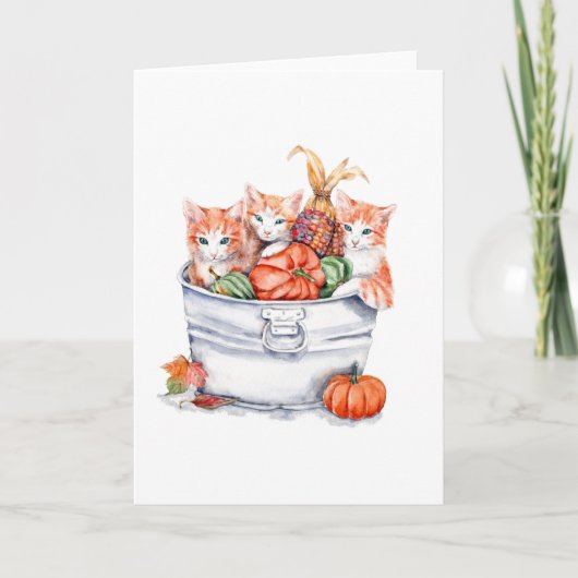 Oogst Kitten Kaart (Voorkant)
