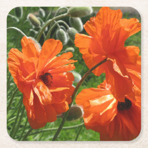 Oogst Moon Oriental Poppy Vierkante Kartonnen Onderzetter