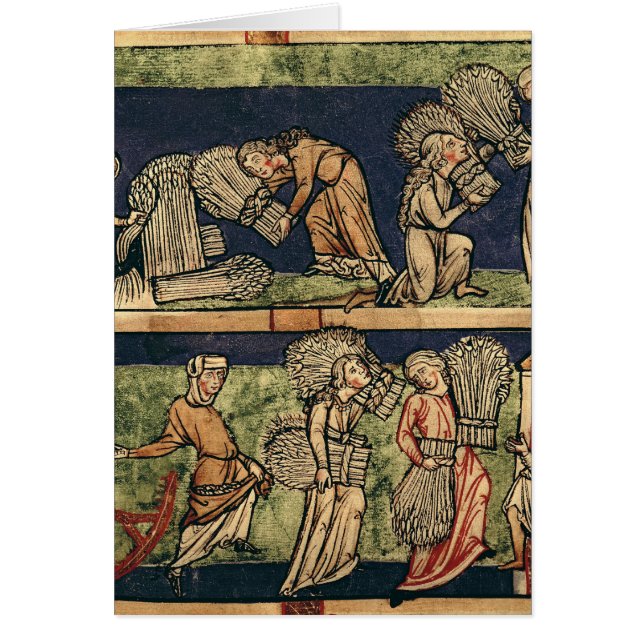 Oogst, Rijnschool (Voorkant)