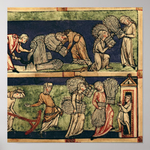 Oogst, Rijnschool Poster