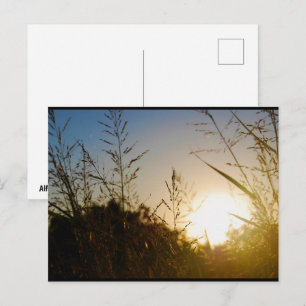 Oogst Zonsopgang Briefkaart
