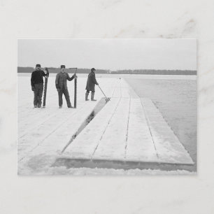 Oogstblokken, 1906 briefkaart