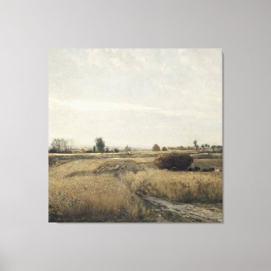 oogsten | Charles-Francois Daubigney Canvas Afdruk (Voorkant)