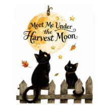 Oogstmaan Zwarte Katten Herfst Maanverlichte Schut