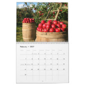 Oogsttijd 2024 kalender (Feb 2027)