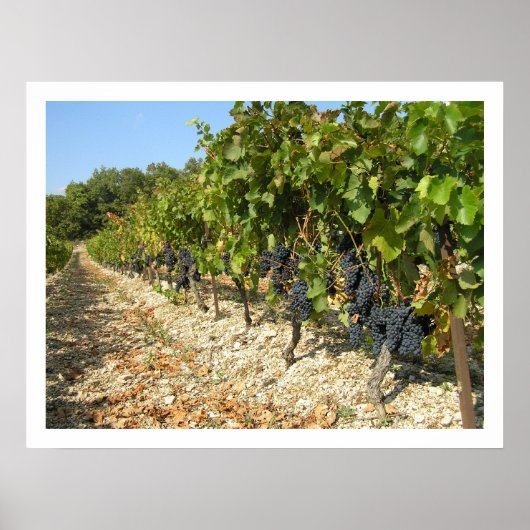 Oogsttijd Poster (Voorkant)