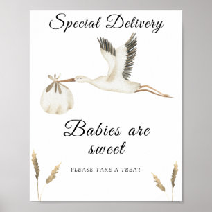 Ooievaar baby shower - baby's zijn lief poster