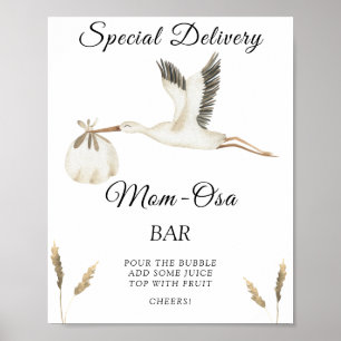 Ooievaar baby shower - Momosa bar Poster