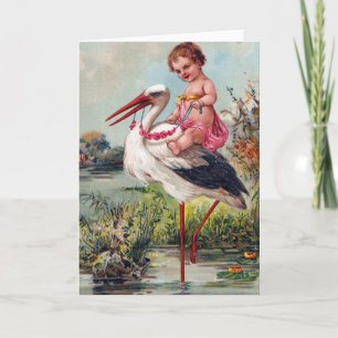 ooievaar en Baby Aankondiging